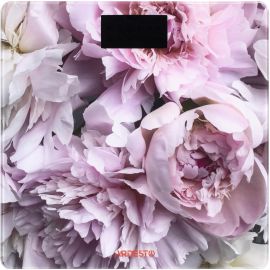 ARDESTO Ваги підлогові PEONIES, 150кг, 2хААА в комплекті, скло, різнокольорові