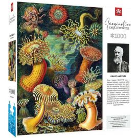 GoodLoot Пазл Imagination: Ernst Haeckel: Sea Anemones/Stworzenia morskie Puzzles 1000 ел.