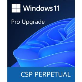 Microsoft Windows 11 Pro Upgrade