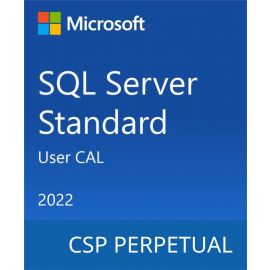 Microsoft SQL Server 2022 - 1 User CAL