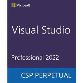 Microsoft Visual Studio Professional 2022