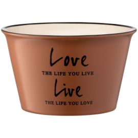 ARDESTO Бульйонниця Way of life, 550мл, кераміка, коричневий