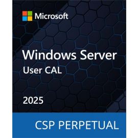 Microsoft Windows Server 2025 - 1 User CAL