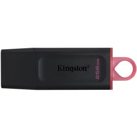 Kingston Накопичувач 256GB USB 3.2 Type-A Gen1 DT Exodia