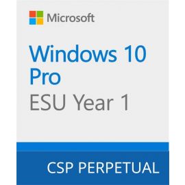 Програмний продукт Microsoft Windows 10 ESU Year 1 (2025 - 2026)